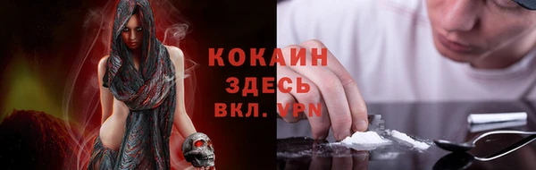 не бодяженный Алексин