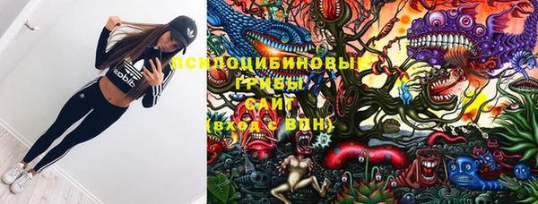 прущая мука Алзамай